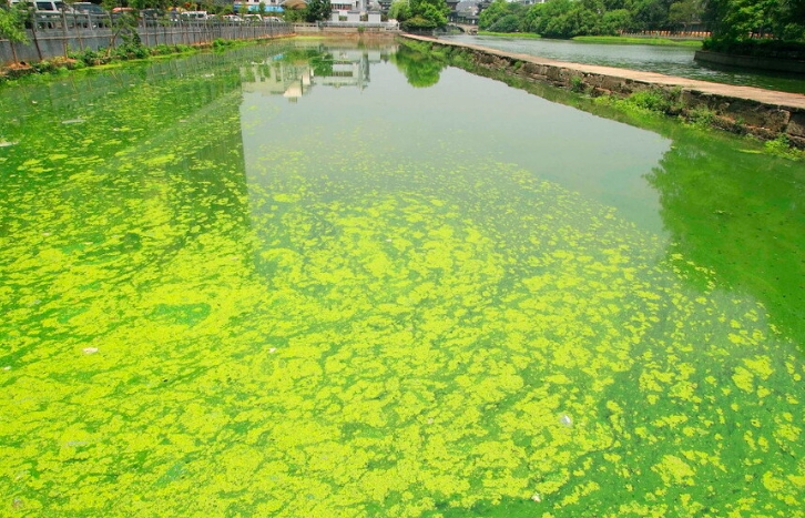 水質在線檢測儀